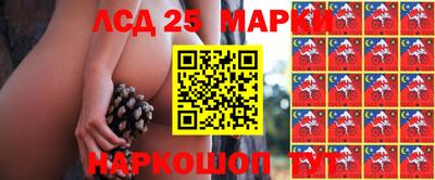 apvp Бийск