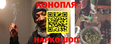 apvp Бийск