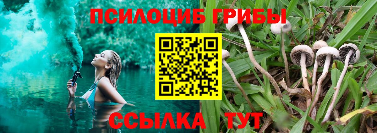 Ковров  Псилоцибиновые грибы мицелий  Вход с VPN  Галлюциногенные грибы Psilocybine cubensis 